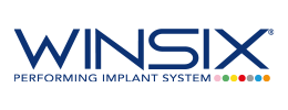 Logo Winsix