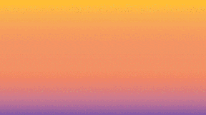 Insights