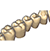ZRS Tooth Library