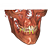 DICOM Viewer