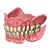 FullDenture Module